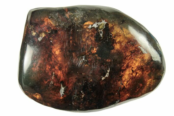 Polished Chiapas Amber ( g) - Mexico #274435